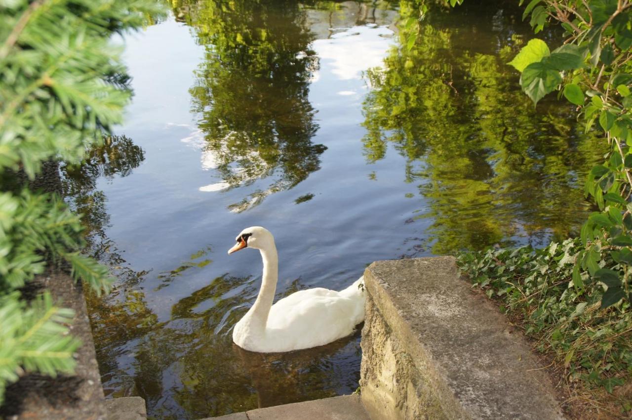 Ferienhaus Brenzblick Gundelfingen an der Donau Luaran gambar